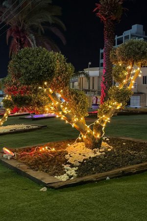 קישוט לד אורך 10 מטר