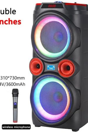 רמקול חיצוני DJ